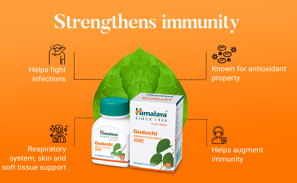10 Bottles Immunity Wellness Guduchi Tablets Health Supplement - Image 4