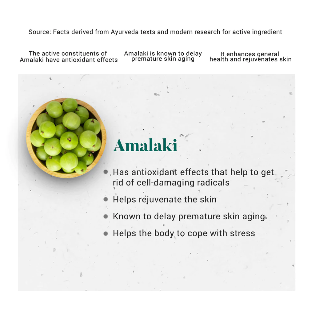 Amalaki Tablet - Image 4